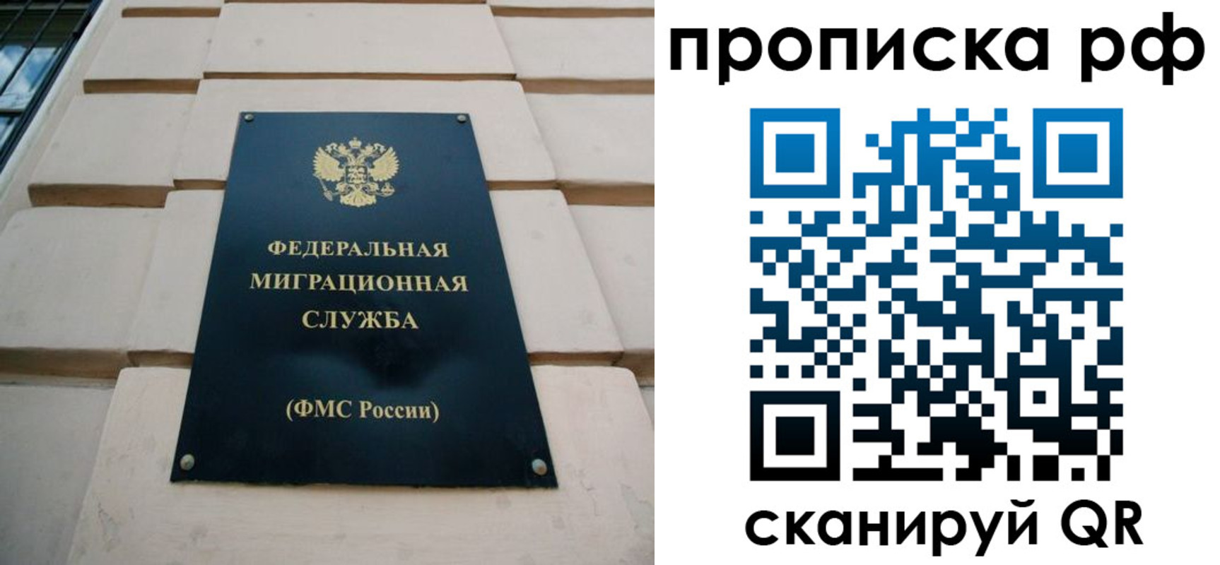 прописка регистрация в Кольчугино